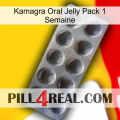 Kamagra Oral Jelly 1 Week Pack 30